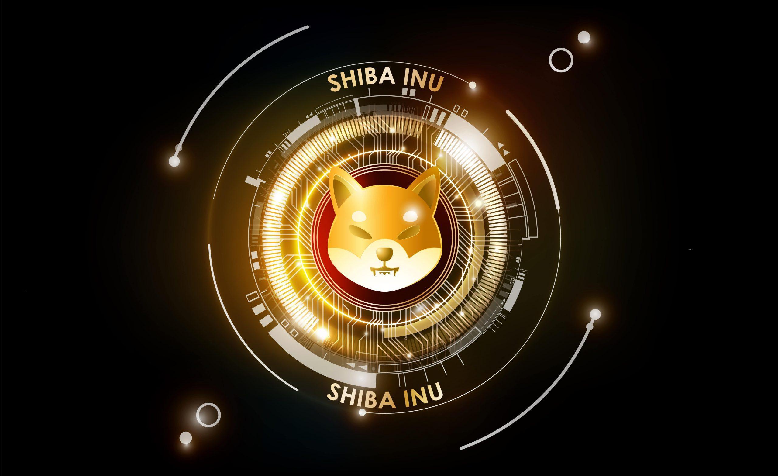 What Is Shiba Inu coin cryptocurrency